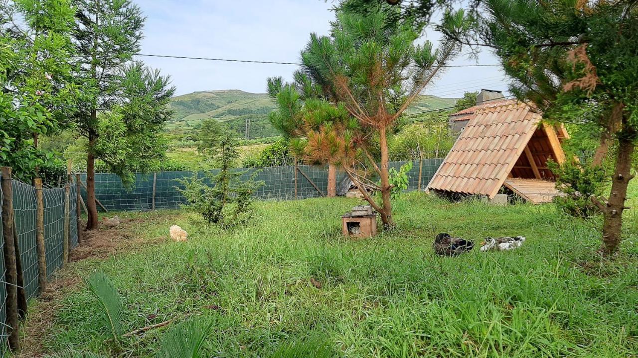 Quinta Das Primas Lomba  Exterior photo